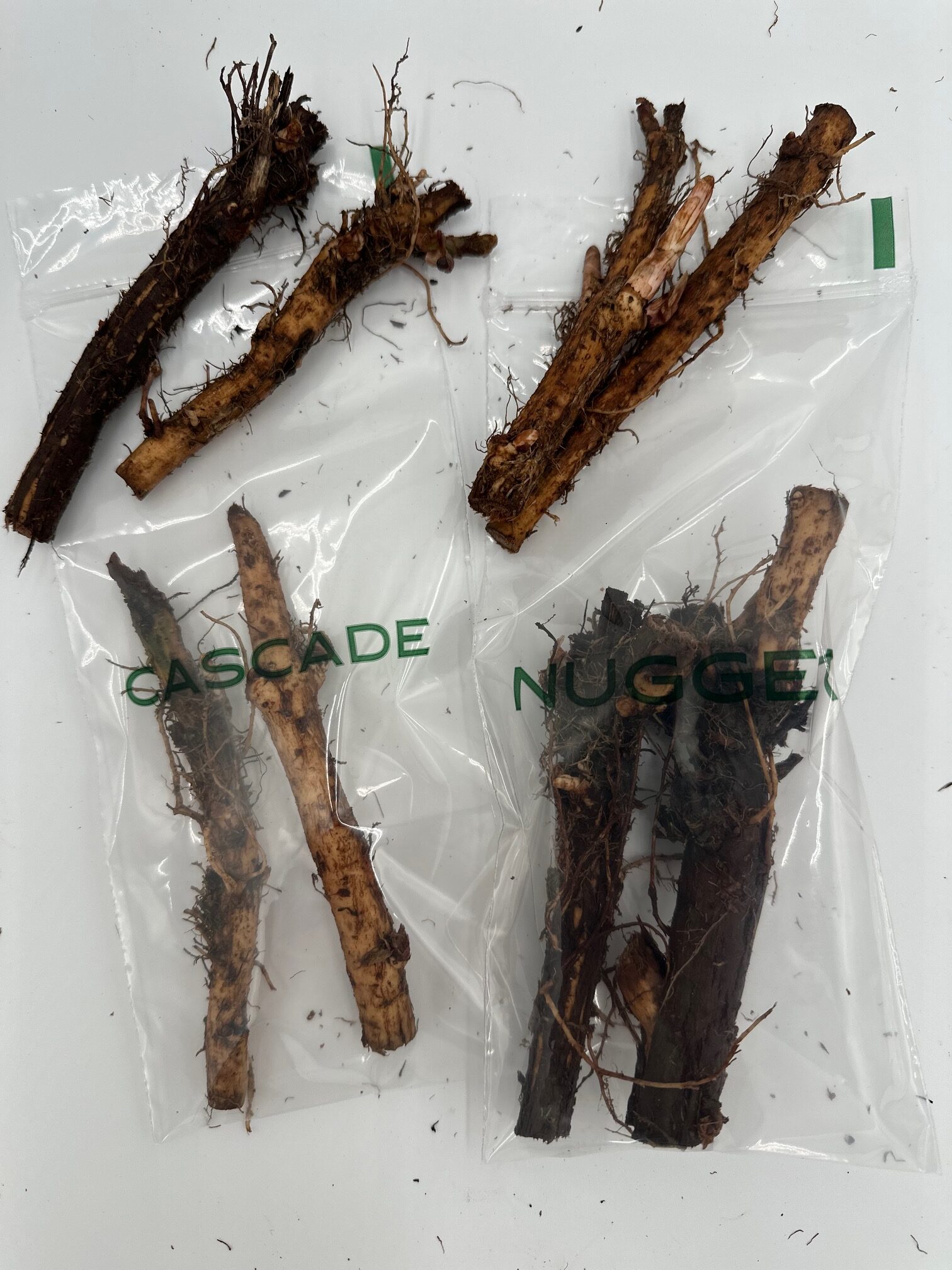 Classic American Pack